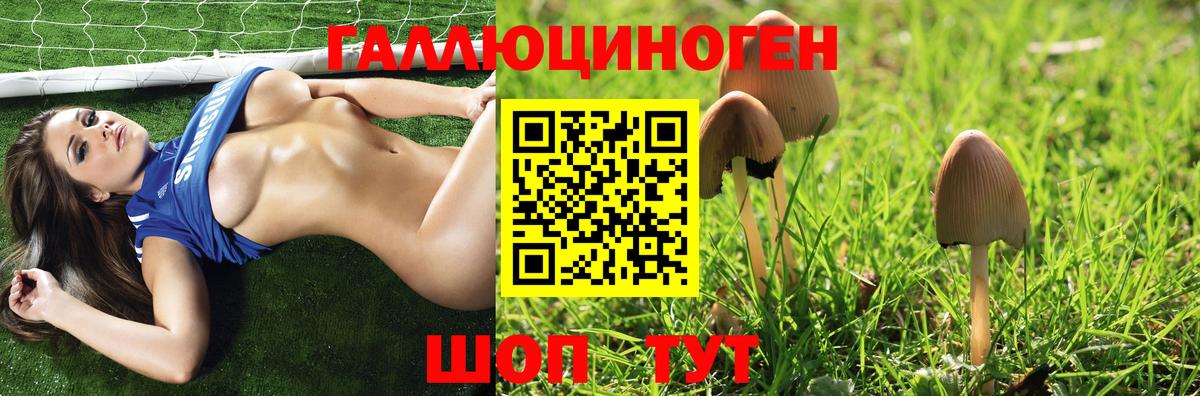 Галлюциногенные грибы мицелий Екатеринбург